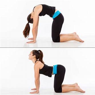 Pro Vita Physical Therapy