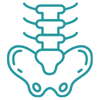 Pelvic floor therapy icon