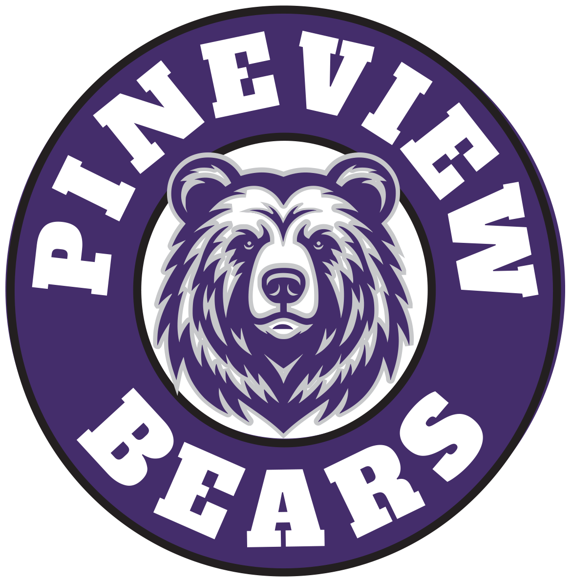 Pineview School